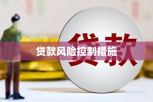 原州贷款风险控制措施
