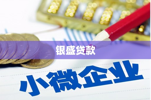 三台银盛贷款