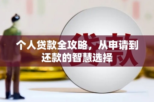 阳东个人贷款全攻略，从申请到还款的智慧选择