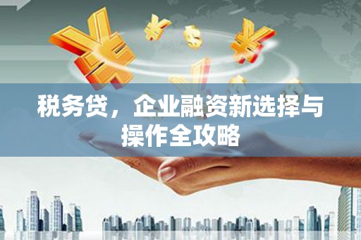 乡城税务贷，企业融资新选择与操作全攻略