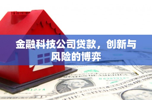 固阳金融科技公司贷款，创新与风险的博弈