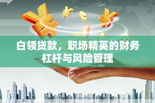 渭源白领贷款，职场精英的财务杠杆与风险管理