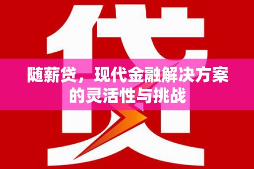 齐齐哈尔随薪贷，现代金融解决方案的灵活性与挑战