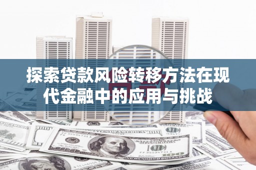 南陵探索贷款风险转移方法在现代金融中的应用与挑战