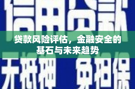 临漳贷款风险评估，金融安全的基石与未来趋势
