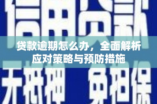 泰山贷款逾期怎么办，全面解析应对策略与预防措施