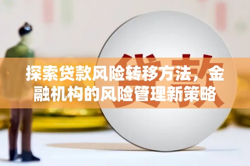 禄丰探索贷款风险转移方法，金融机构的风险管理新策略