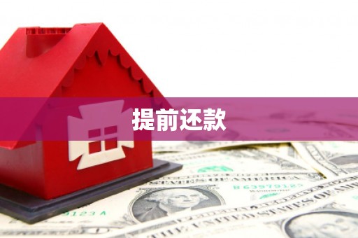 资源提前还款