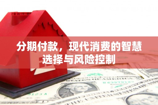 阿莲分期付款，现代消费的智慧选择与风险控制
