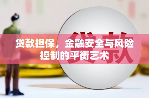 七星贷款担保，金融安全与风险控制的平衡艺术