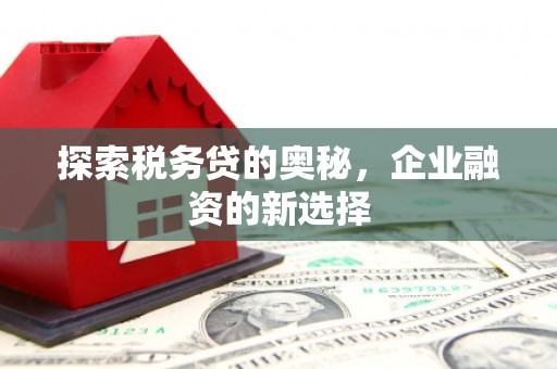 米脂探索税务贷的奥秘，企业融资的新选择