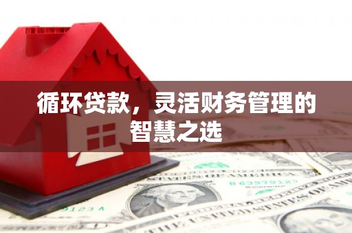 西峡循环贷款，灵活财务管理的智慧之选