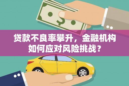 平南贷款不良率攀升，金融机构如何应对风险挑战？
