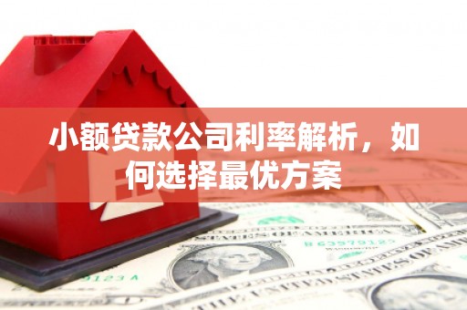 弥陀小额贷款公司利率解析，如何选择最优方案