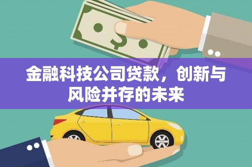 武汉金融科技公司贷款，创新与风险并存的未来