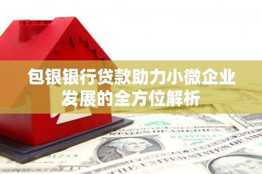 香港包银银行贷款助力小微企业发展的全方位解析 香港包银银行贷款助力小微企业发展的全方位解析