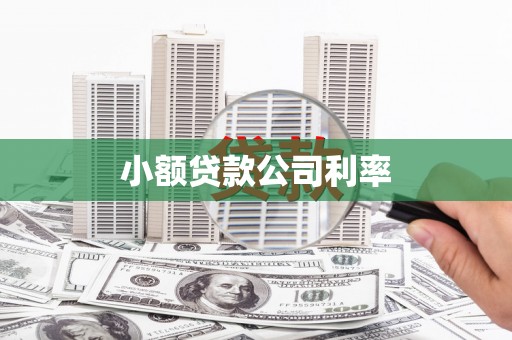 万柏林小额贷款公司利率