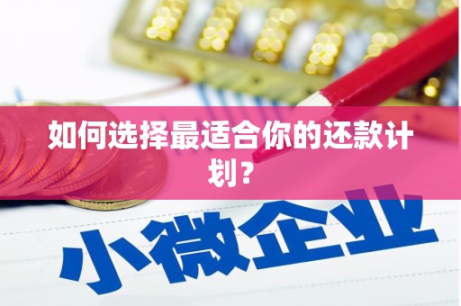 城西如何选择最适合你的还款计划？