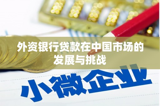 双清外资银行贷款在中国市场的发展与挑战