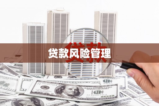 阳东贷款风险管理