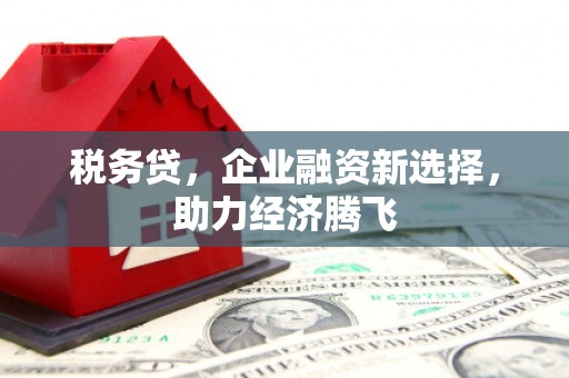 昂昂溪税务贷，企业融资新选择，助力经济腾飞