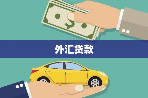 神农架外汇贷款
