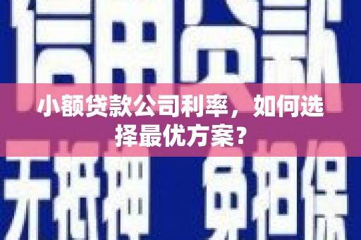 西市小额贷款公司利率，如何选择最优方案？
