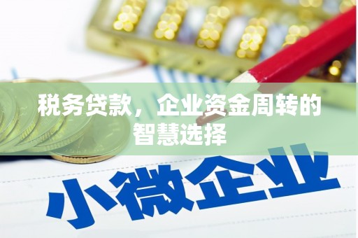龙文税务贷款，企业资金周转的智慧选择