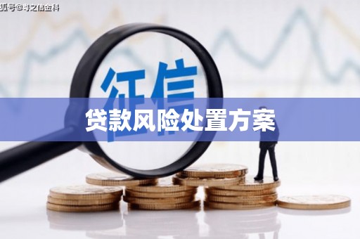 碑林贷款风险处置方案