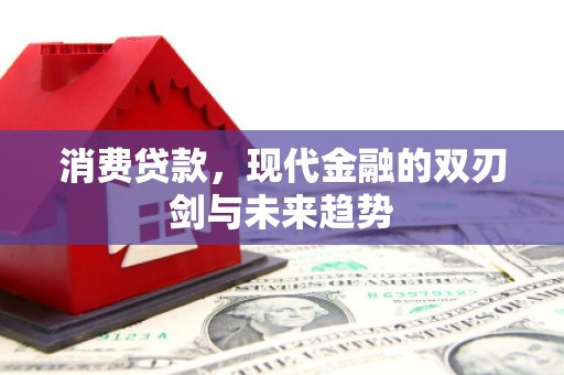 河西消费贷款，现代金融的双刃剑与未来趋势