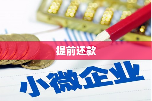平江提前还款