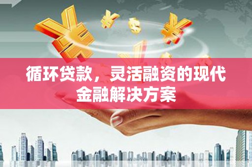 肃南循环贷款，灵活融资的现代金融解决方案