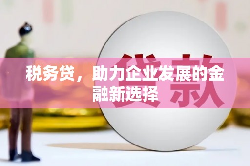 武进税务贷，助力企业发展的金融新选择