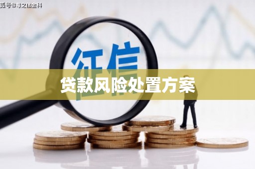 新埤贷款风险处置方案
