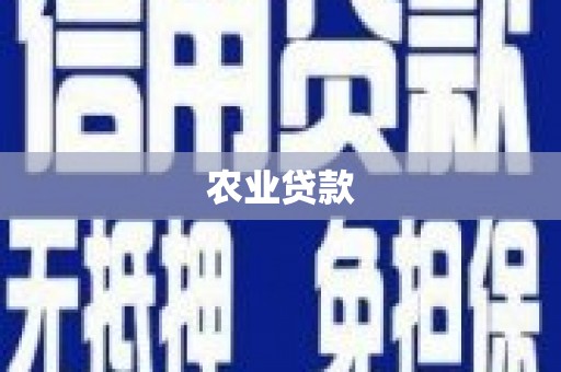 绵阳农业贷款