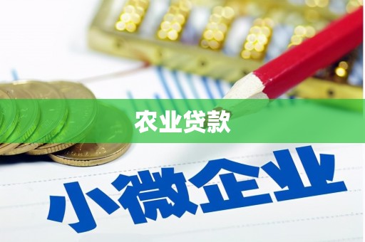 温宿农业贷款