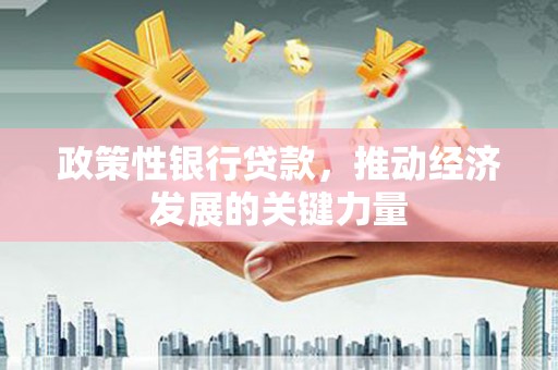 大渡口政策性银行贷款，推动经济发展的关键力量