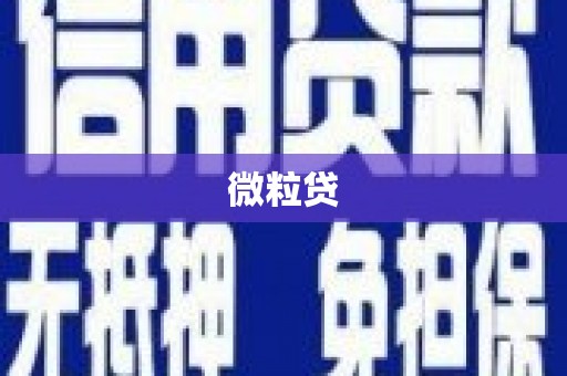 琼中微粒贷