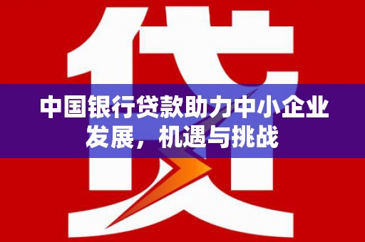 新泰中国银行贷款助力中小企业发展，机遇与挑战