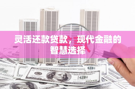 松江灵活还款贷款，现代金融的智慧选择
