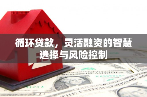 富平循环贷款，灵活融资的智慧选择与风险控制