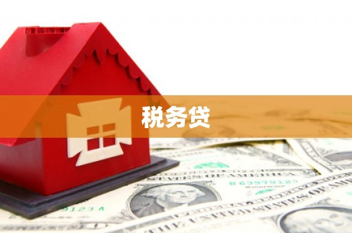 孝感税务贷