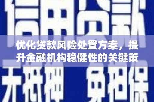涿鹿优化贷款风险处置方案，提升金融机构稳健性的关键策略