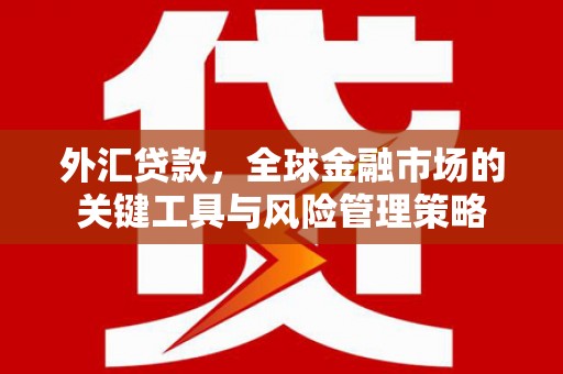 巴中外汇贷款，全球金融市场的关键工具与风险管理策略