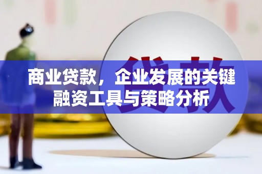 阜新商业贷款，企业发展的关键融资工具与策略分析