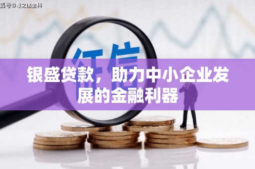 汉中银盛贷款，助力中小企业发展的金融利器