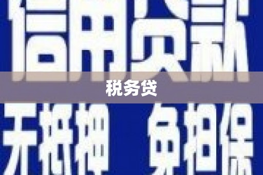 建华税务贷
