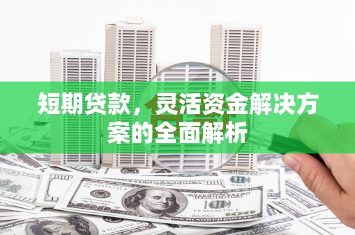 泰武短期贷款，灵活资金解决方案的全面解析