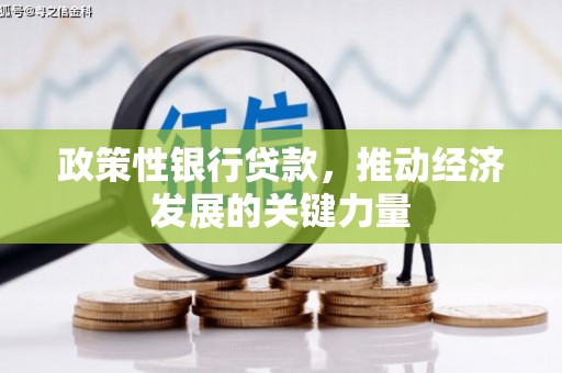 乌拉特中旗政策性银行贷款，推动经济发展的关键力量