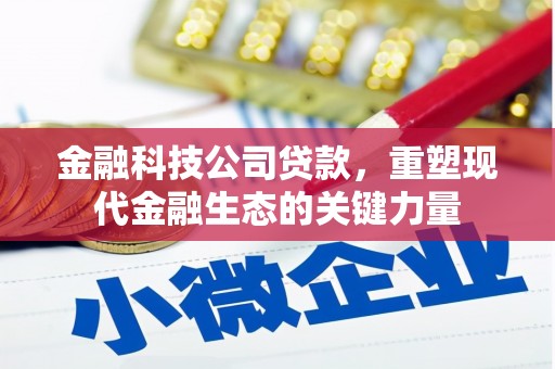 三亚金融科技公司贷款，重塑现代金融生态的关键力量